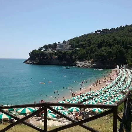 Danila Pugnochiuso Le Macine فيستَ