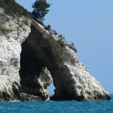 Danila Pugnochiuso Le Macine * Vieste