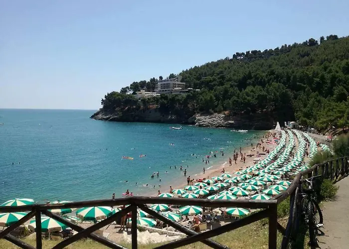 Danila Pugnochiuso Le Macine فيستَ